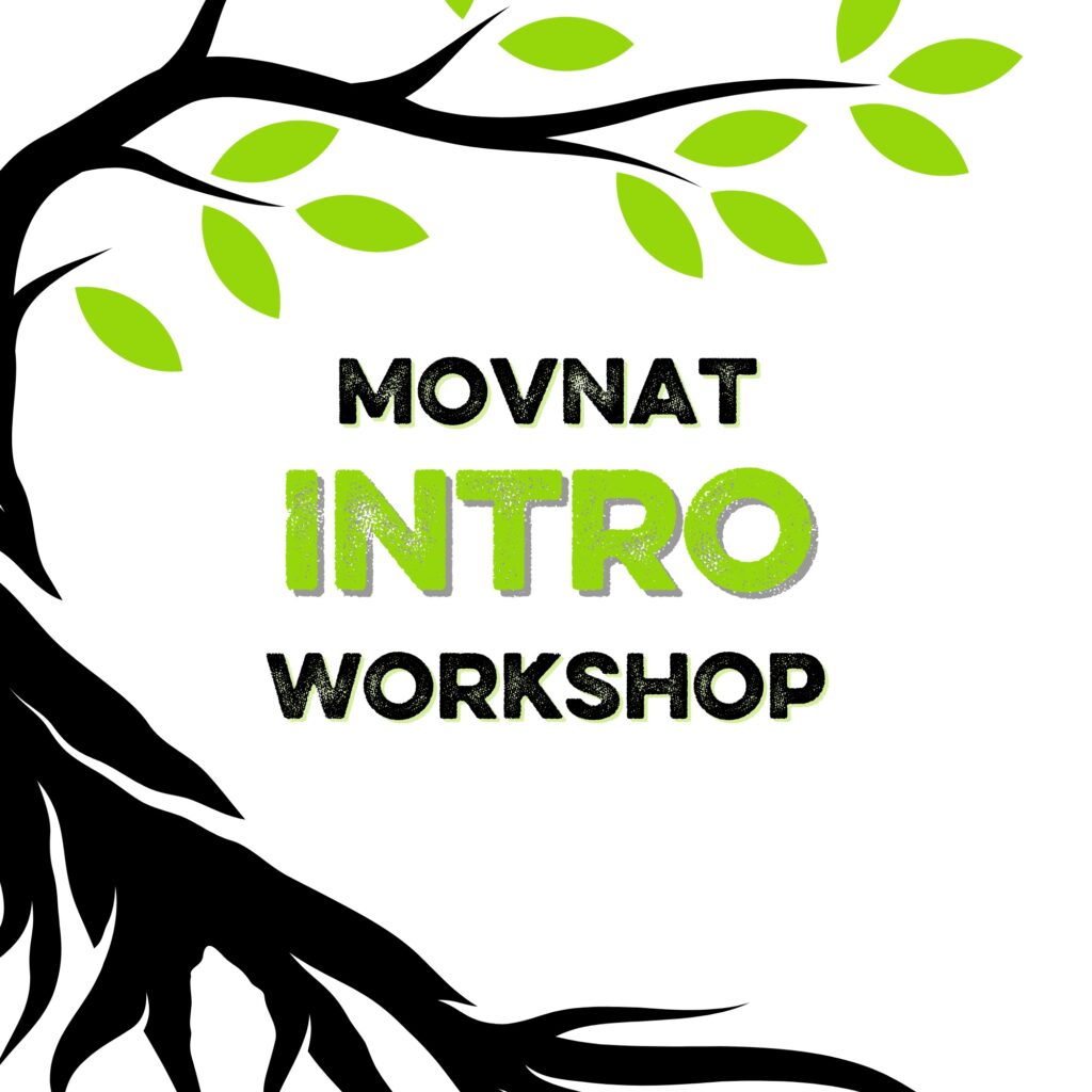 movnat intro workshop Hoogerheide